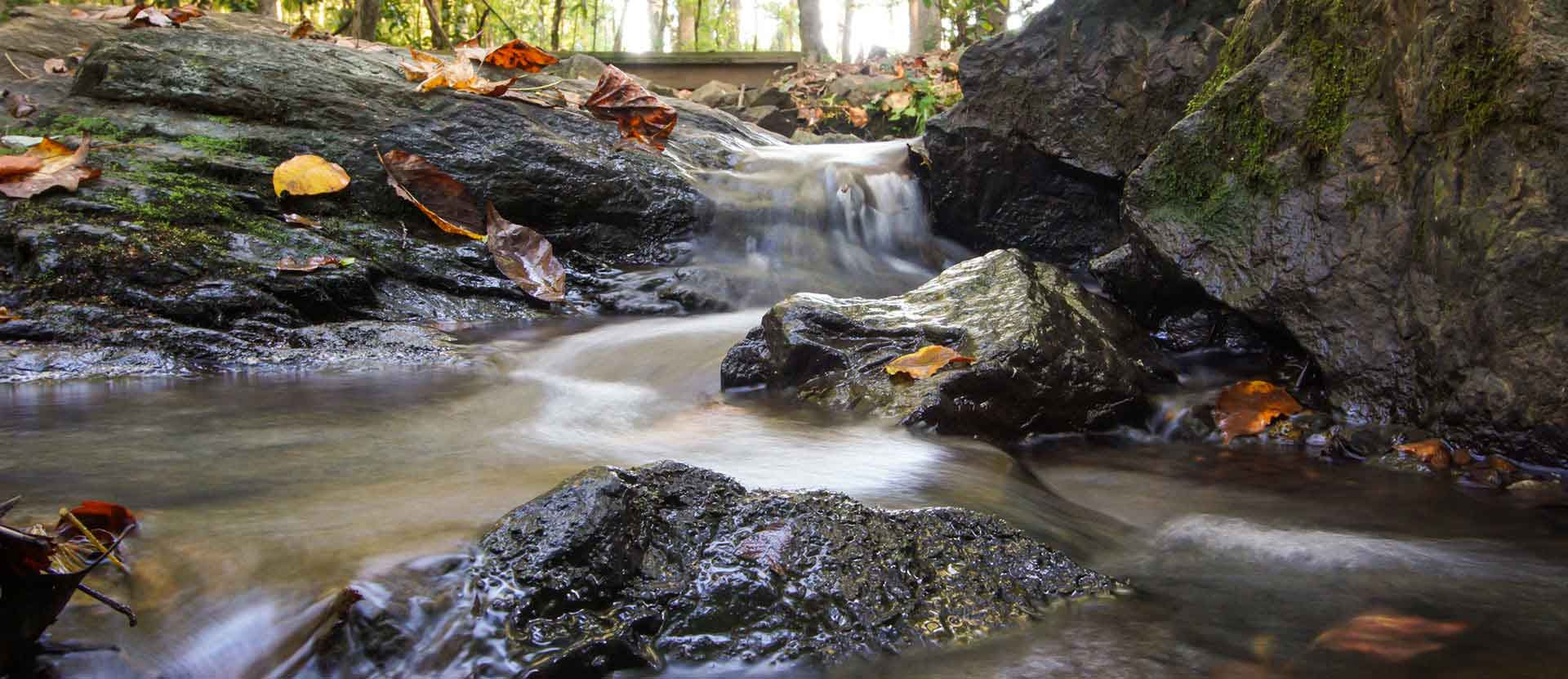 small waterfall in the Wesleyan Arboretum